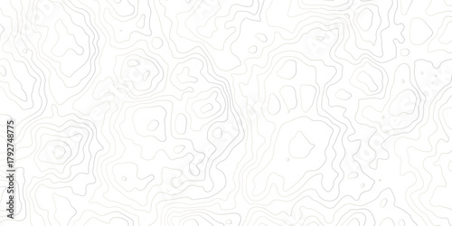 Abstract topographic map background with soft contour lines on a white surface. Minimal geographic elevation pattern ideal for modern design, mapping, landscape, and technology themes.