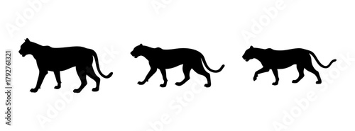 Three black panther silhouette vector illustration walking in a row big cat animal design 90