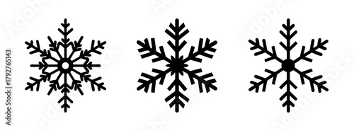 Collection of winter snowflakes vector design elements for christmas and holiday season decor