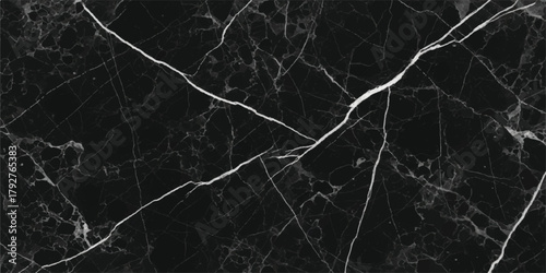 Abstract black and white natural grunge texture of old paper and winter tree branches