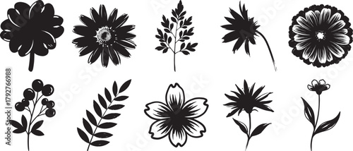 Floral silhouette vector set including flower bloom, leaf branch, botanical nature illustration and decorative design