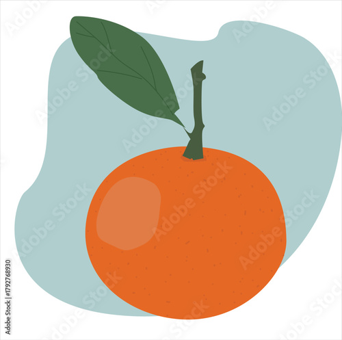 Branch with oranges, ideal for food packaging,