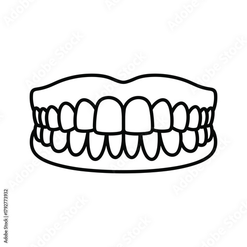 Human teeth and mouth