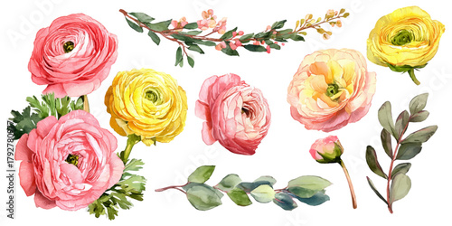 Watercolor ranunculus flowers and botanical leaves design element set
