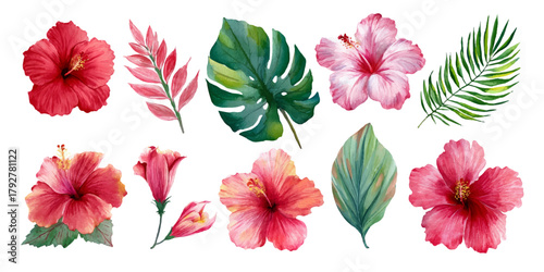 Vibrant tropical hibiscus flowers and exotic green leaves watercolor illustration set