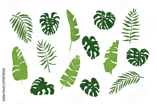 Lush tropical leaves in vibrant green tones on a clean white background. Perfect for packaging, textiles, wallpapers, or minimalist branding. Editable vector seamless pattern with botanical details