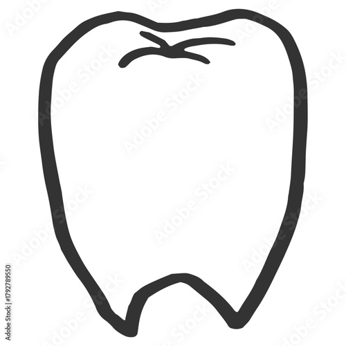 歯　線画