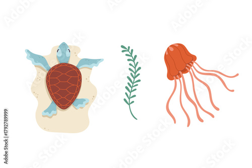 Vector  cartoon hand-drawn illustrations of a turtle, jellyfish, and seaweed. Sketches of sea details.