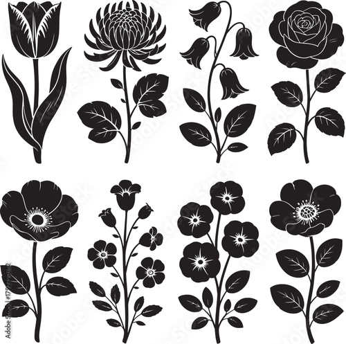 Elegant floral silhouettes of various botanical species in detailed monochrome
