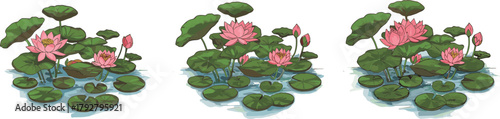 Beautiful lotus flowers with green lily pads, blooming in calm water, nature pond, serene floral design