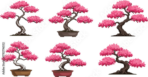 Beautiful pink blossom bonsai trees in pots, perfect for home decor, nature lovers, garden art inspiration