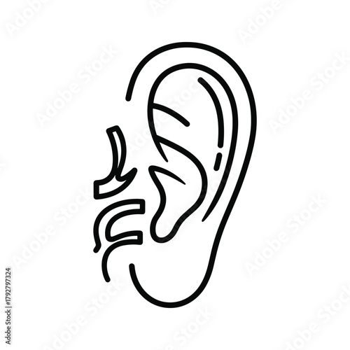 Human ear