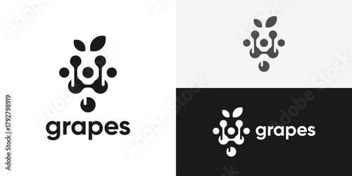 Creative simpple grapes logo template. winery logo design vector illustration.