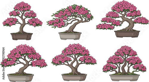 Beautiful pink bonsai tree collection, blooming flowers, miniature garden plants, decorative illustration art