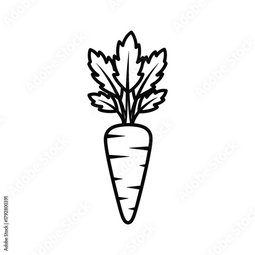 Illustration of a carrot with leaves in a simple line art style