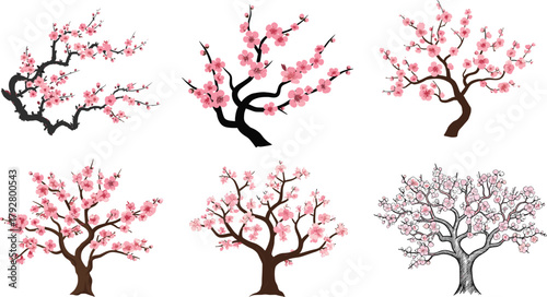 Beautiful Pink Cherry Blossom Tree Branches, Artistic Spring Flower Illustrations, Nature Blooming, Decorative Floral Design, Seasonal Botanical Art