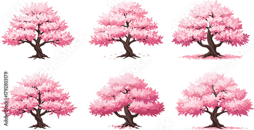 Beautiful pink cherry blossom trees, spring nature scenery, blooming sakura, floral garden landscape, peaceful outdoors