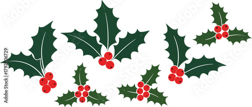 Christmas holly sprigs with red berries isolated on transparent background