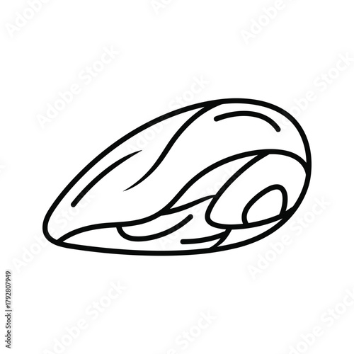 Almond illustration, a nutritious and delicious nut for snacking