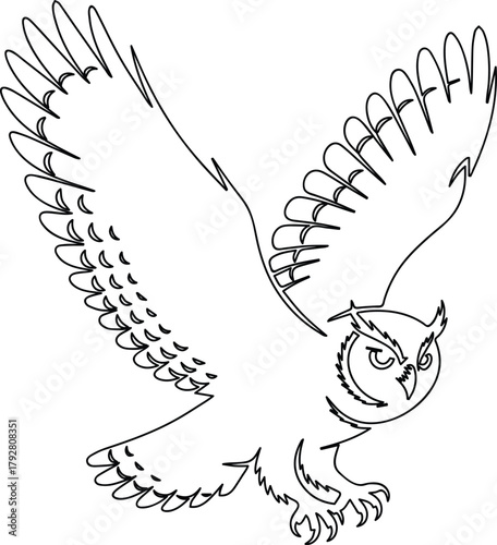 Outline illustration of owl with open wings and detailed feathers for educational wildlife bird watching symbol in nature reserve and nocturnal predator sanctuary drawing