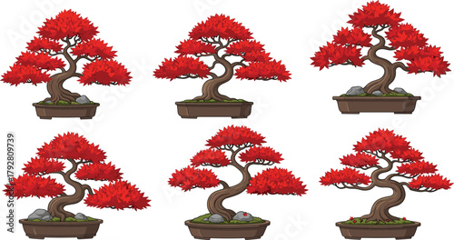 Beautiful red bonsai tree collection, autumn foliage, decorative miniature plants, Japanese garden art