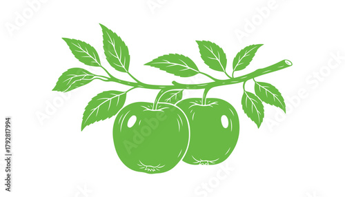 A couple of apples hanging on a leafy branch. It's a hand-drawn green silhouette clipart. 