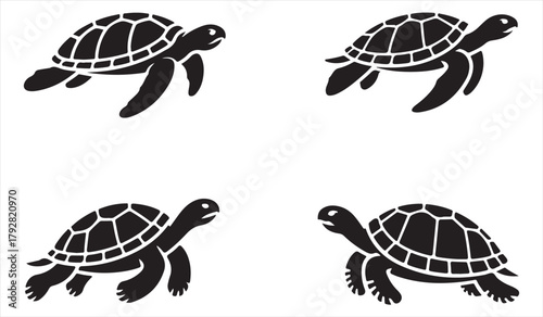 Black and white turtle illustration collection for marine-themed designs