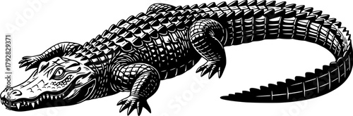 Silhouette of a powerful and mysterious alligator against a clean white backdrop vector illustration
