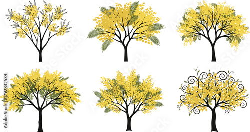 Collection of blooming yellow flowering trees in decorative styles, ideal for botanical art, design, and illustration