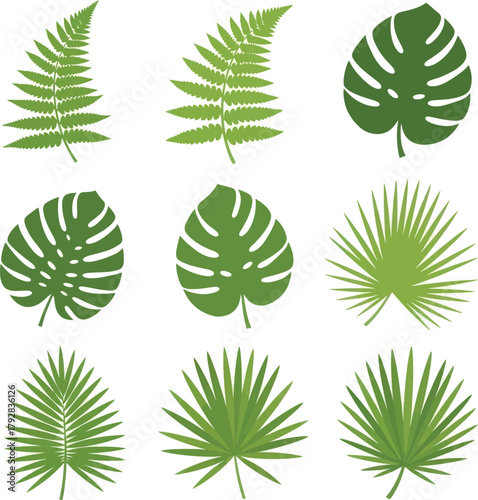 Lush tropical leaves convey freshness and nature in a variety of elegant shapes perfect for botanical designs and eye-catching modern patterns