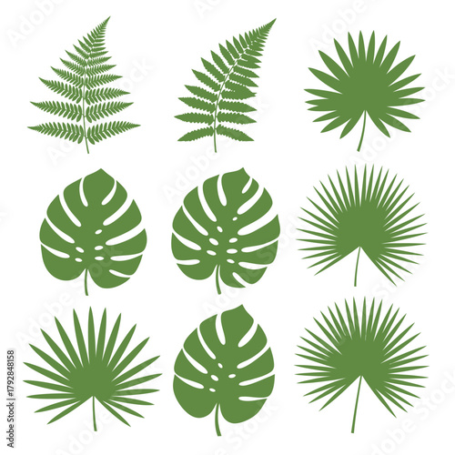 Vibrant collection of tropical green leaves, showcasing diverse botanical shapes and natural beauty for refreshing design accents.