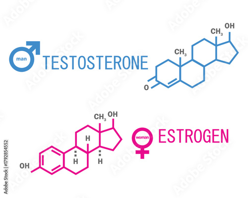 Sex hormones molecular formula:  Testosterone and Estrogen. Hormones Vector illustration