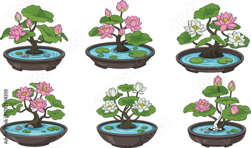 Lotus bonsai tree illustrations, potted water plants, blooming lotus flowers, green leaves, decorative artistic design