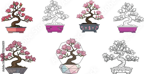 Magnolia bonsai tree illustrations, floral potted plants, blooming decorative art, digital sketch and colored artwork