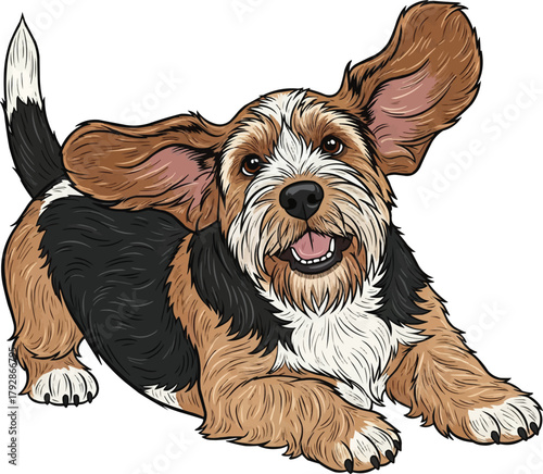Grand Basset Griffon Vendéen dog playful pose vector illustration