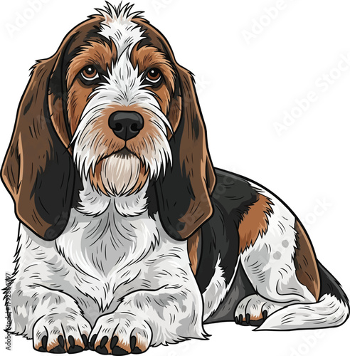 Grand Basset Griffon Vendéen dog lying down vector illustration