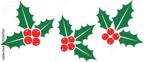 Christmas holly berries. Holly berry Christmas icon and mistletoe leaf decorative vector illustration design 
