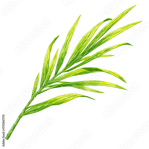 A simple EPS format illustration, vector, simple flat 2D icon, minimalist design, icon set, A Simple 2D vibrant lemongrass stalk illustration isolated on a white background, simple design set