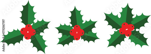 Christmas holly berries. Holly berry Christmas icon and mistletoe leaf decorative vector illustration design 