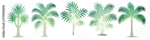 Set Watercolor palm trees objects. Hand drawn. Not AI, vector illustration.