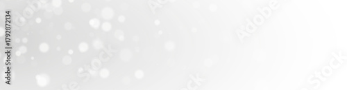 Elegant shimmer dust for festive celebration