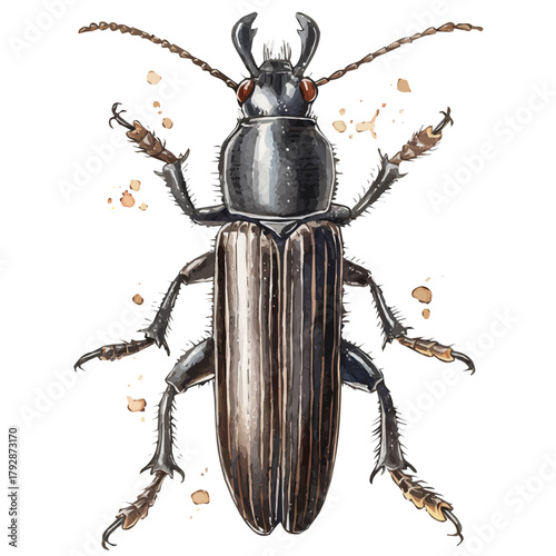 My beautiful hand drawn Watercolor illustration, shiny black beetle isolated on a white background, illustration, AI painting design, vector set, eps format design, simple painting