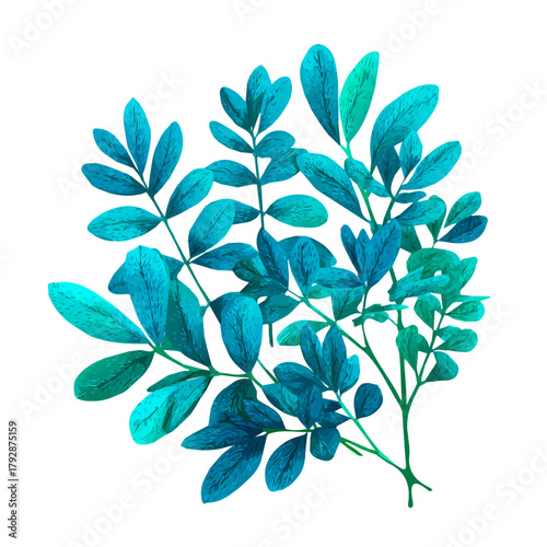 A hand drawn flat 2D illustration of Vibrant rue herb with blue-green foliage isolated on a white background, vector icon set, simple design in a flat design, simple 2D illustration, EPS format