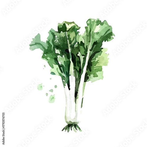 My beautiful hand drawn Watercolor illustration, sliced daikon radish painting isolated on a white background, illustration, AI painting design, vector set, eps format design, simple painting