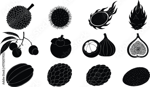Tropical fruits vector illustration set, black silhouette exotic fruit collection including durian, rambutan, dragon fruit, mangosteen, fig, cocoa, botanical design for decoration, logo