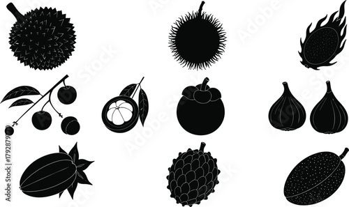 Tropical fruits vector illustration set, black silhouette exotic fruit collection including durian, rambutan, mangosteen, dragon fruit, fig, cocoa, botanical artwork for decoration, logo