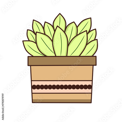 House Plant in pot vector illustration