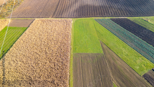 Fotografi Aerial view of vibrant farmland featuring various textures and colors of crops including green fields and harvested land, showcasing agricultural practices and rural landscape
