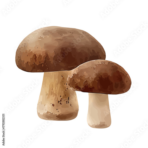 My Watercolor illustration, sliced king oyster mushroom painting illustration isolated on a white background, illustration, AI painting design, vector illustration set, eps format