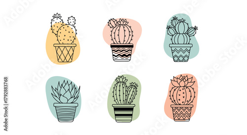 A collection of six potted cacti illustrations in various styles against colorful abstract backgrounds.